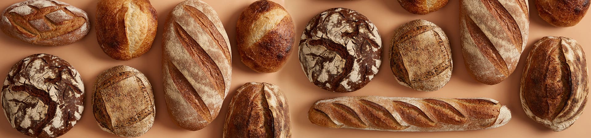 Bakery Products Manufacturing