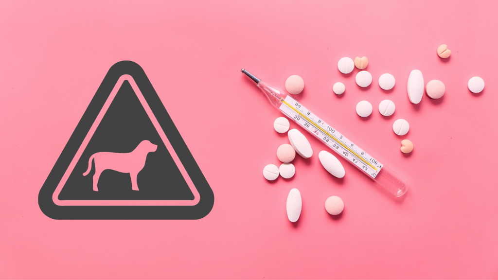 Reporting Animal Drug