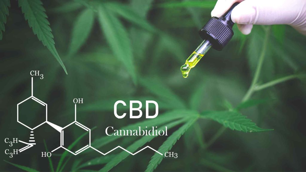 Cannabis Businesses Need a ERP System